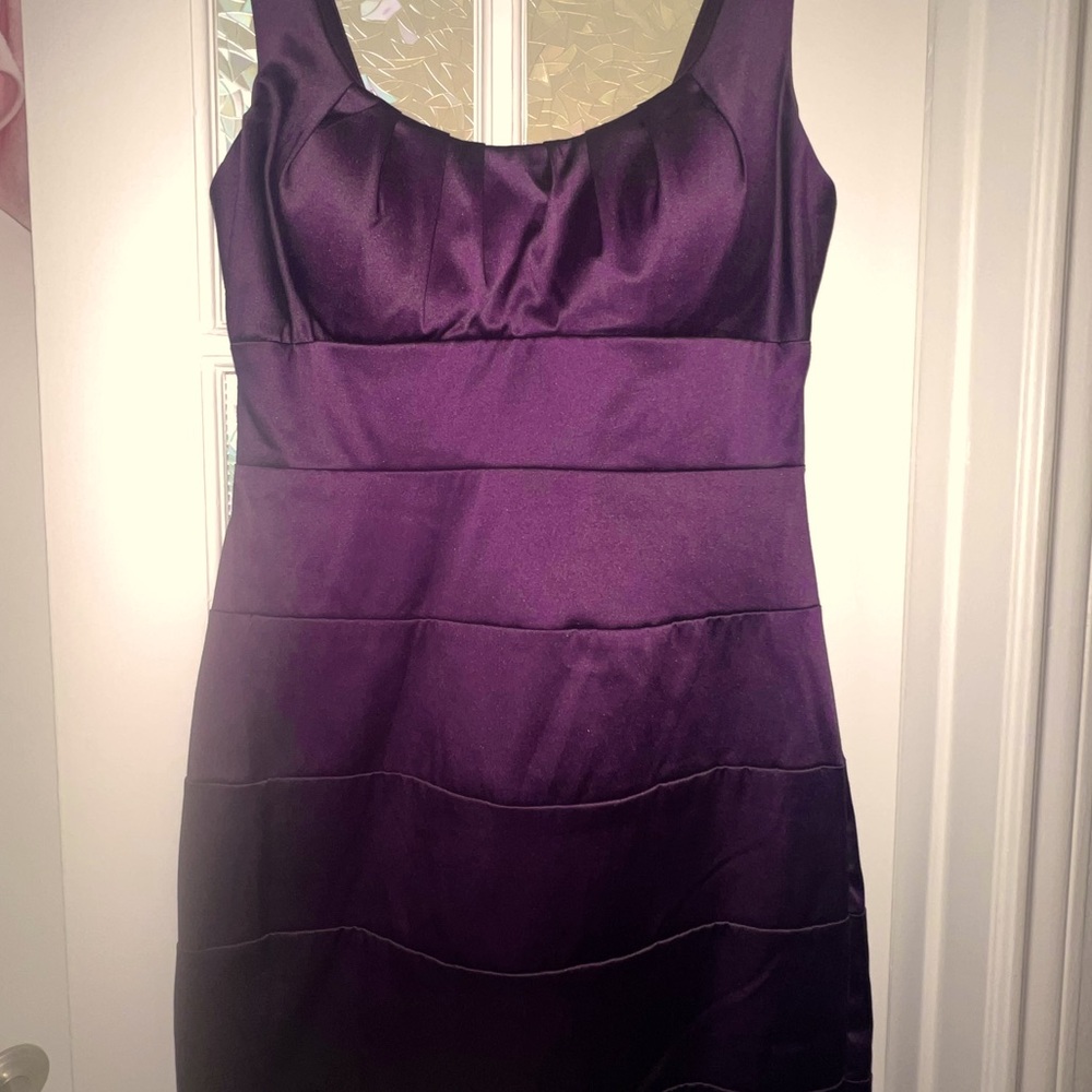 Bison Bisou plum colored dress